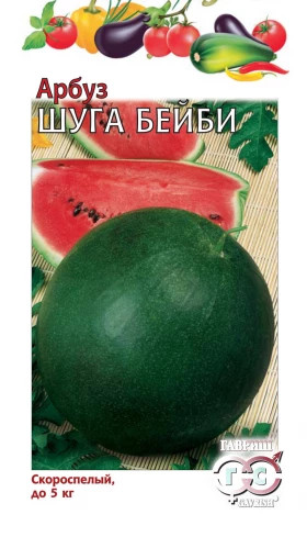 Шуга Бейби Ц(Г)