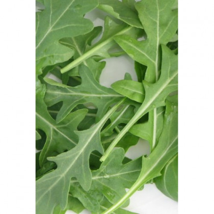 Рукола Грация 0,5гр Ц(П)