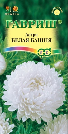 Белая башня Ц(Г)