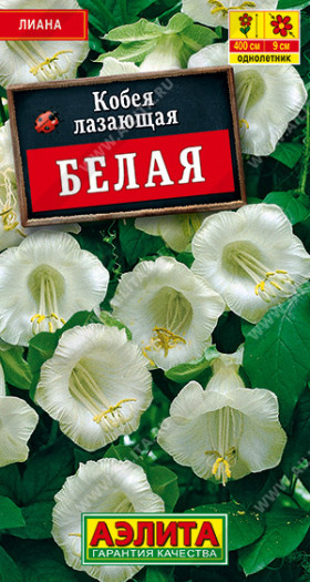 Белая Ц(А) (7258                     )
