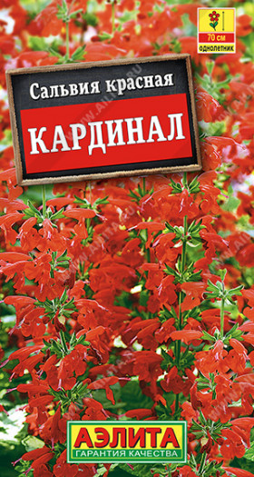 Кардинал Ц(А) ()