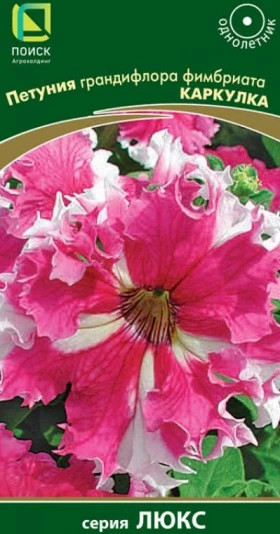 Каркулка Ц(Поиск)