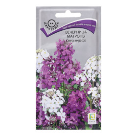 Матроны смесь окрасок Ц(Поиск)