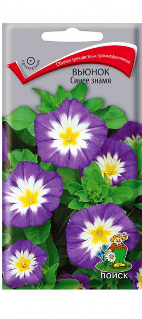 Синее Знамя Ц(Поиск)