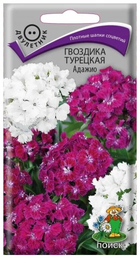 Адажио турецкая Ц(Поиск)