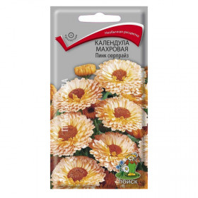 Пинк Сюрпрайз махр Ц(Поиск)