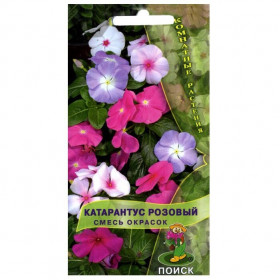 Розовый смесь окрасок Ц(Поиск)