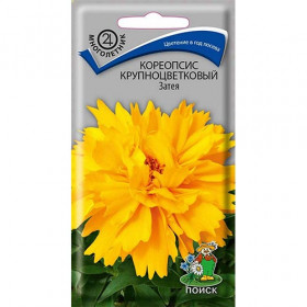 Затея крупноцв Ц(Поиск)