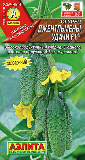 Джентельмены удачи Ц(А)