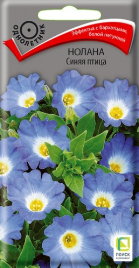 Синяя птица Ц(Поиск)