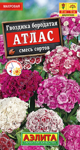 Атлас турецкая махровая Ц(А)