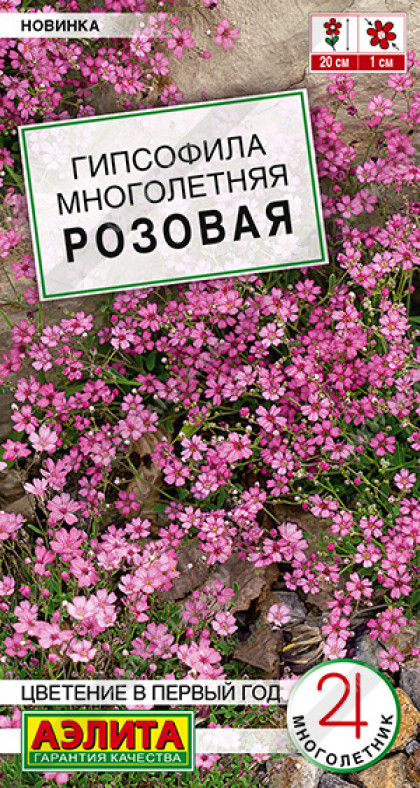 Многолетняя розовая Ц(А)