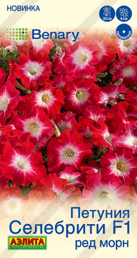 Селебрити Ред Морн Ц(А)