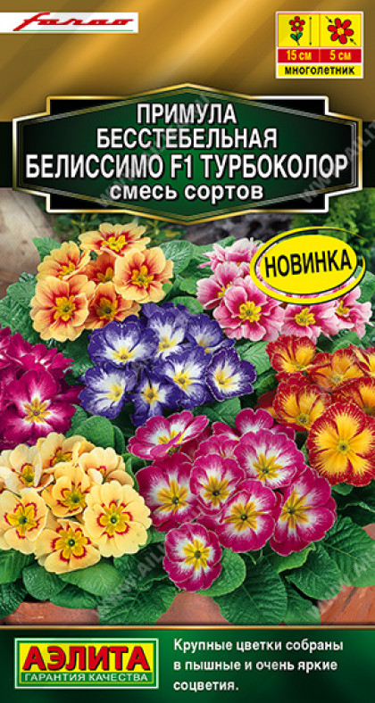 Белиссимо турбоколор Ц(А)