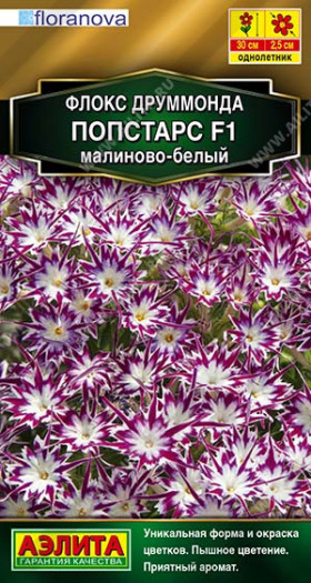 Попстарс малиново-белый друммонда Ц(А)