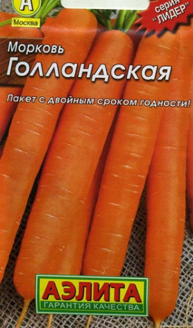 Голландская Лидер