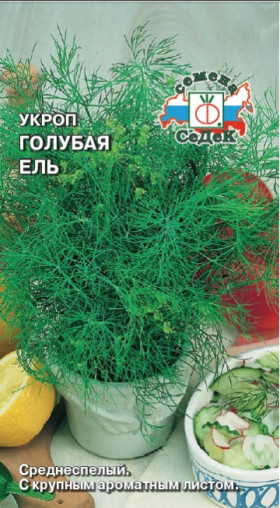 Голубая ель Ц(С)