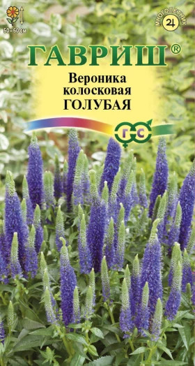 Голубая (колосковая)  Ц(Г)