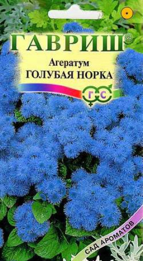 Голубая норка Ц(Г)