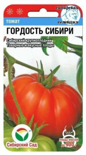 Гордость Сибири СС