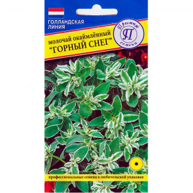 Горный снег Ц(П)