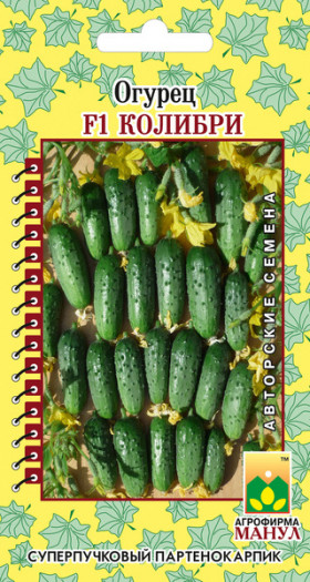 Колибри Манул