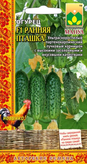 Ранняя пташка Манул