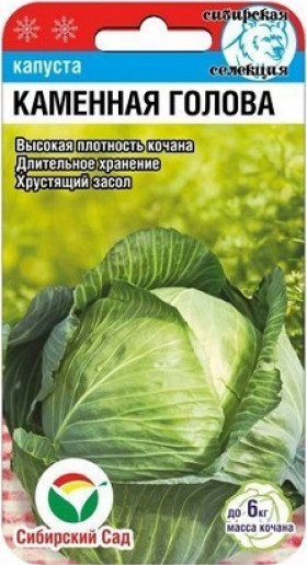 Каменная голова СС