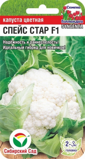 цветная Спейс Стар 10шт СС