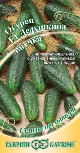 Дедушкина внучка Ц(Г)
