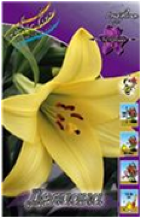 Делиана (лонг)  5шт