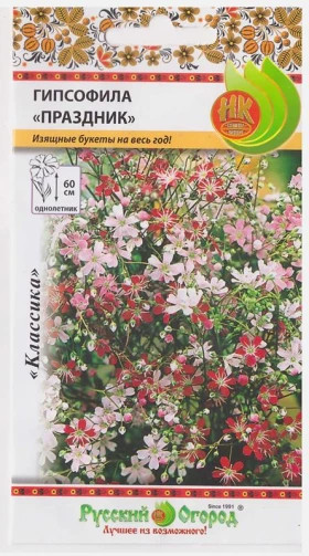 Праздник Ц(Н)