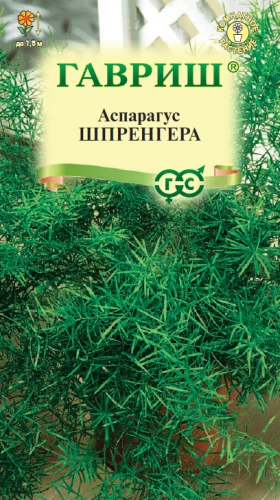 Густоцветковый Шпренгера 4 шт. Ц(Г)