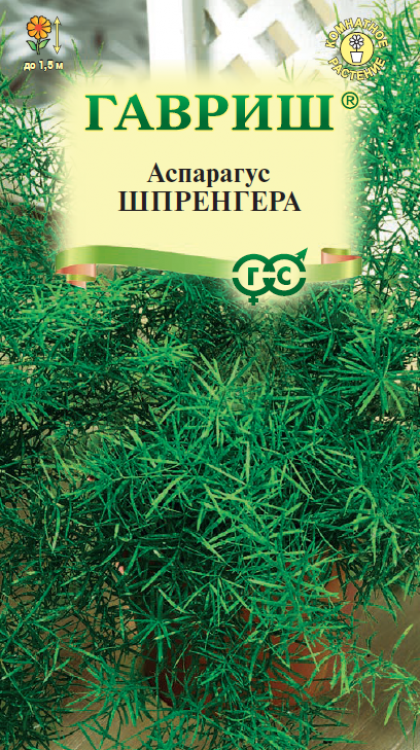 Густоцветковый Шпренгера 4 шт. Ц(Г)