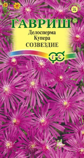 Созвездие Ц(Г)
