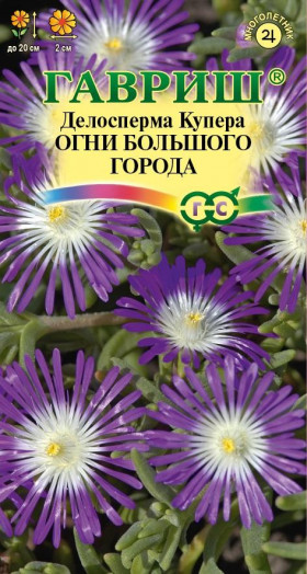 Огни большого города Ц(Г)