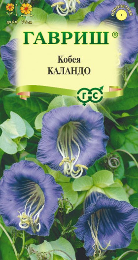 Каландо лазающея Ц(Г)