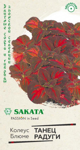 Танец радуги Ц(Г)