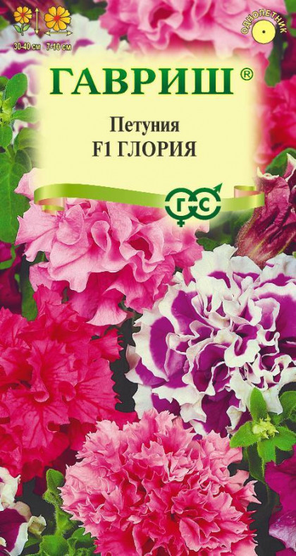 Глория Ц(Г)