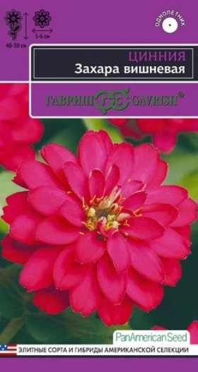 Захара вишневая 5шт. Ц(Г)