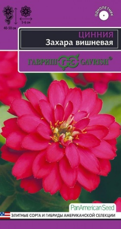 Захара вишневая 5шт. Ц(Г)