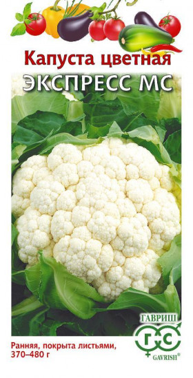 цветная Экспрес МС Ц(Г)