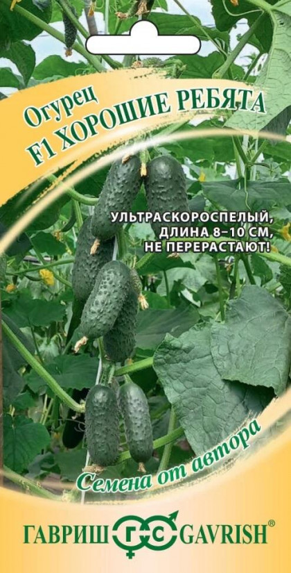 Хорошие ребята 10шт Ц(Г)