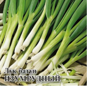 Изумрудный батун на зелень 10гр. Гавриш