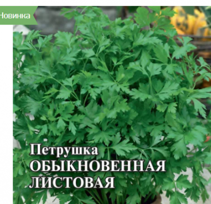 Обыкновенная листовая 25 гр\Гавриш