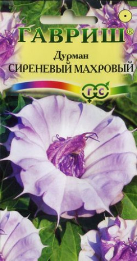 Сиреневый Махровый Ц(Г)