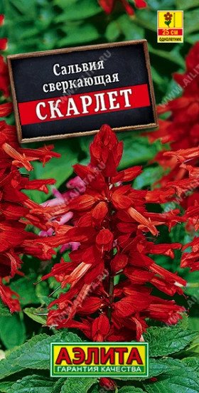 Скарлет Ц(А)