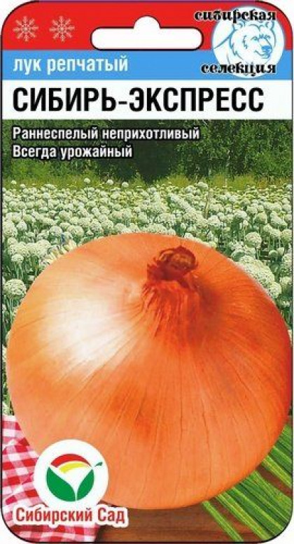 Сибирь-Экспресс 1гр СС