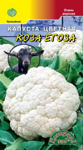 цветная Коза Егоза Цветущий Сад