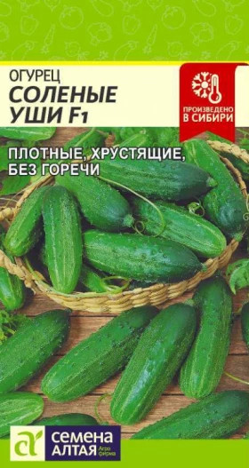 Соленые уши Ц(Алт)